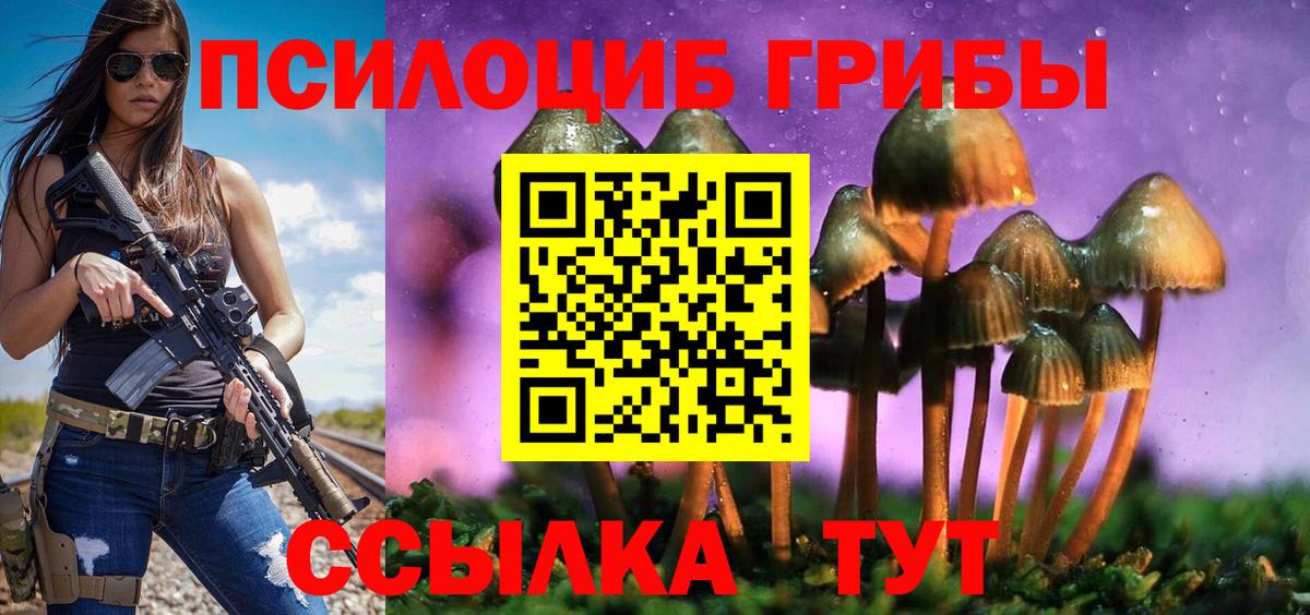 Вологда  Псилоцибиновые грибы Psilocybine cubensis  Вход с VPN 
